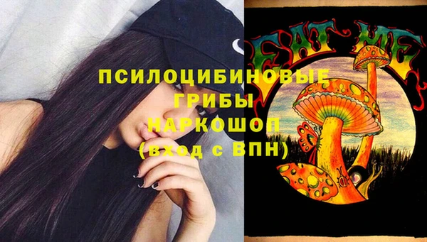 гашик Алзамай