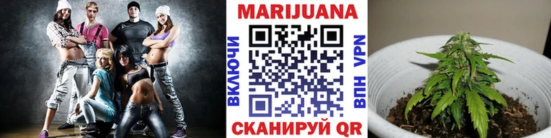Конопля Amnesia  Волгоград 